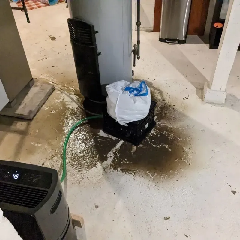 Sewage Backup Cleanup Service in Brown County, MN